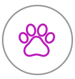 SAFE FOR PETS